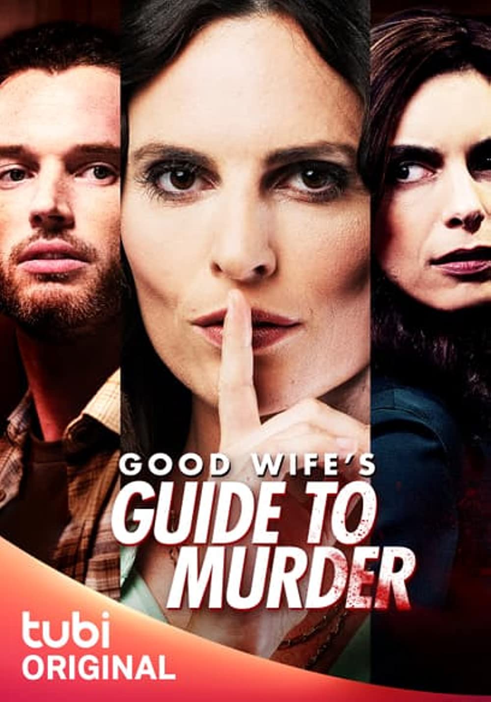 Good Wife's Guide to Murder FRENCH WEBRIP 2023